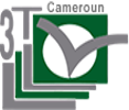 3tcameroun
